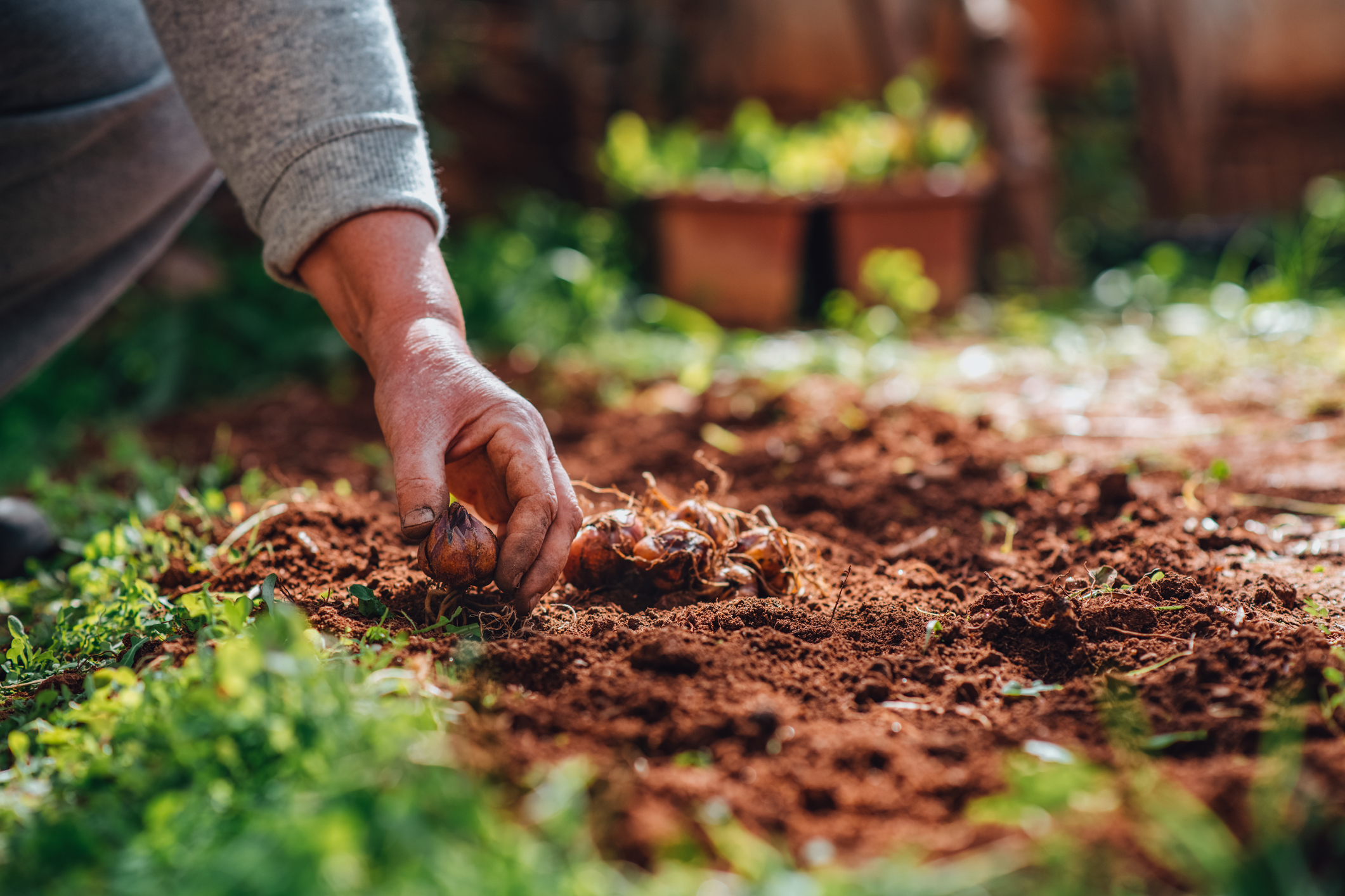 Je Tuin Winterklaar Maken Maar Dan Net Anders Hallo Groen